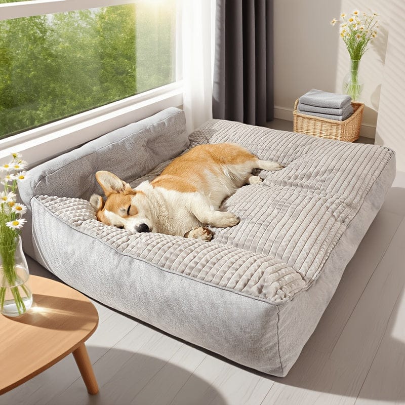 Lit orthopédique XL pour chien – Sofa luxe, housse lavable & confort ultime - One PETS - TOP