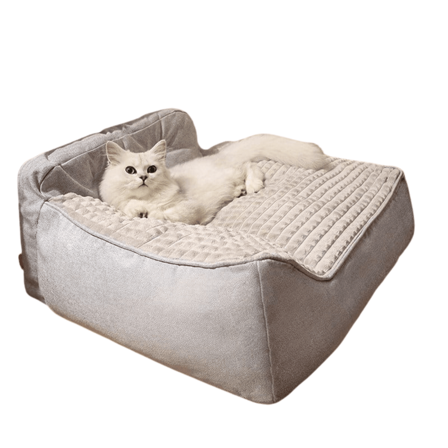 Lit orthopédique XL pour chien – Sofa luxe, housse lavable & confort ultime - One PETS - TOP