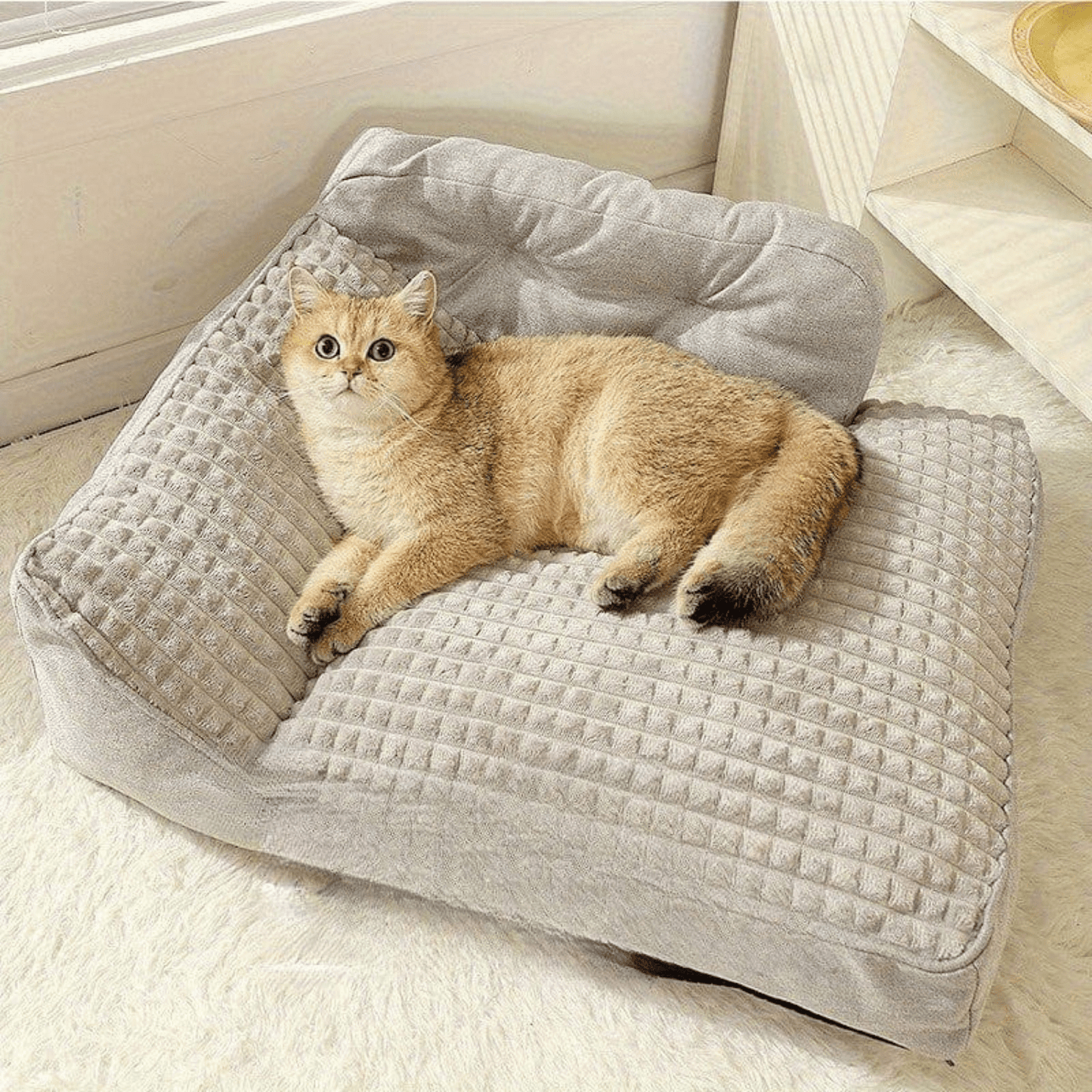 Lit orthopédique XL pour chien – Sofa luxe, housse lavable & confort ultime - One PETS - TOP