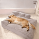 Lit orthopédique XL pour chien – Sofa luxe, housse lavable & confort ultime - One PETS-TOP – vue 10
