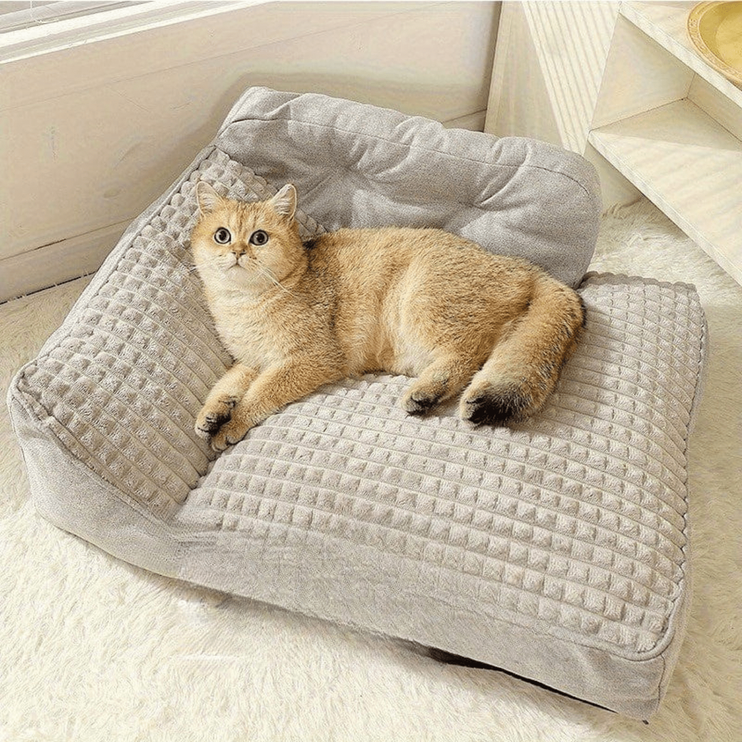 Lit orthopédique XL pour chien – Sofa luxe, housse lavable & confort ultime One PETS-TOP