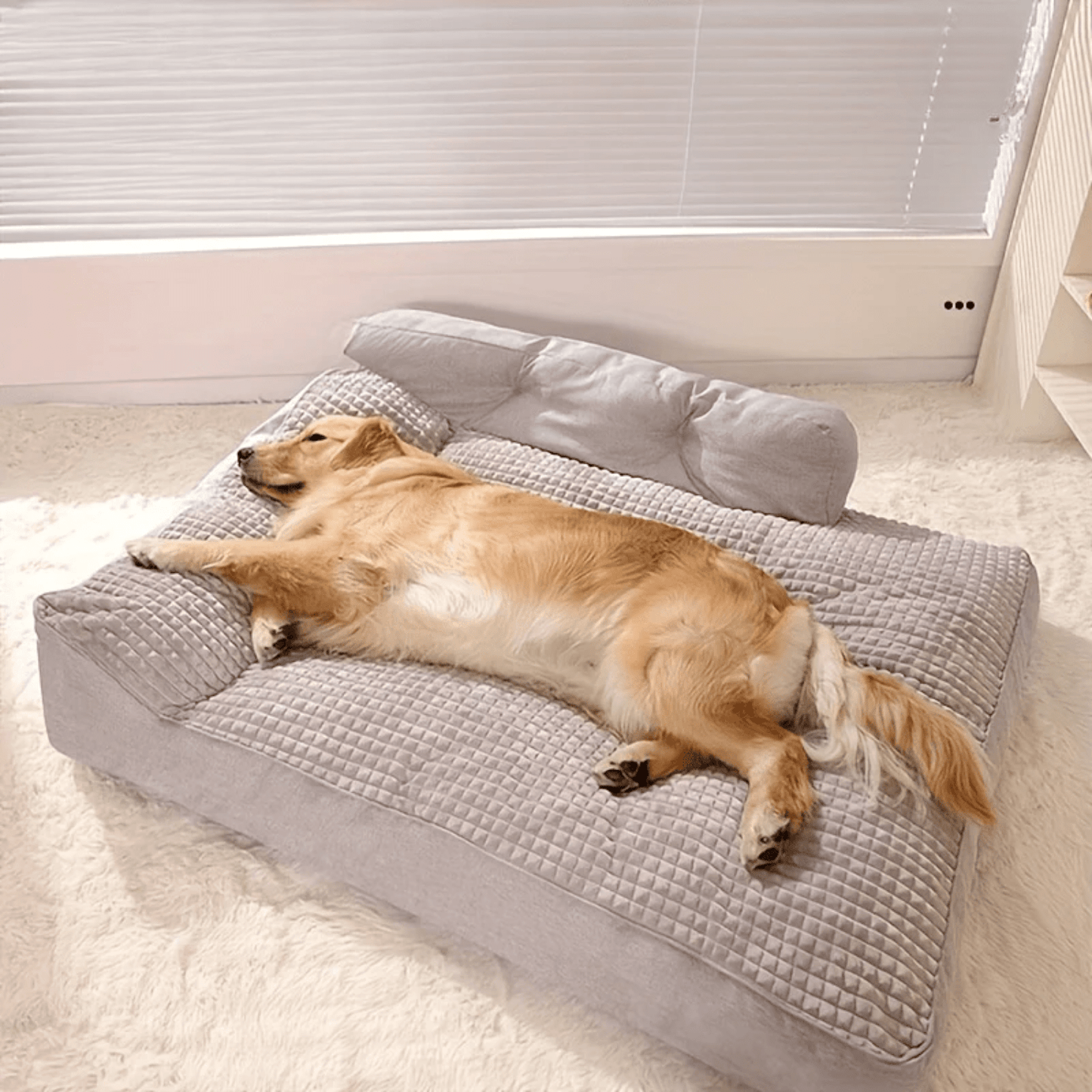 Lit orthopédique XL pour chien – Sofa luxe, housse lavable & confort ultime One PETS-TOP