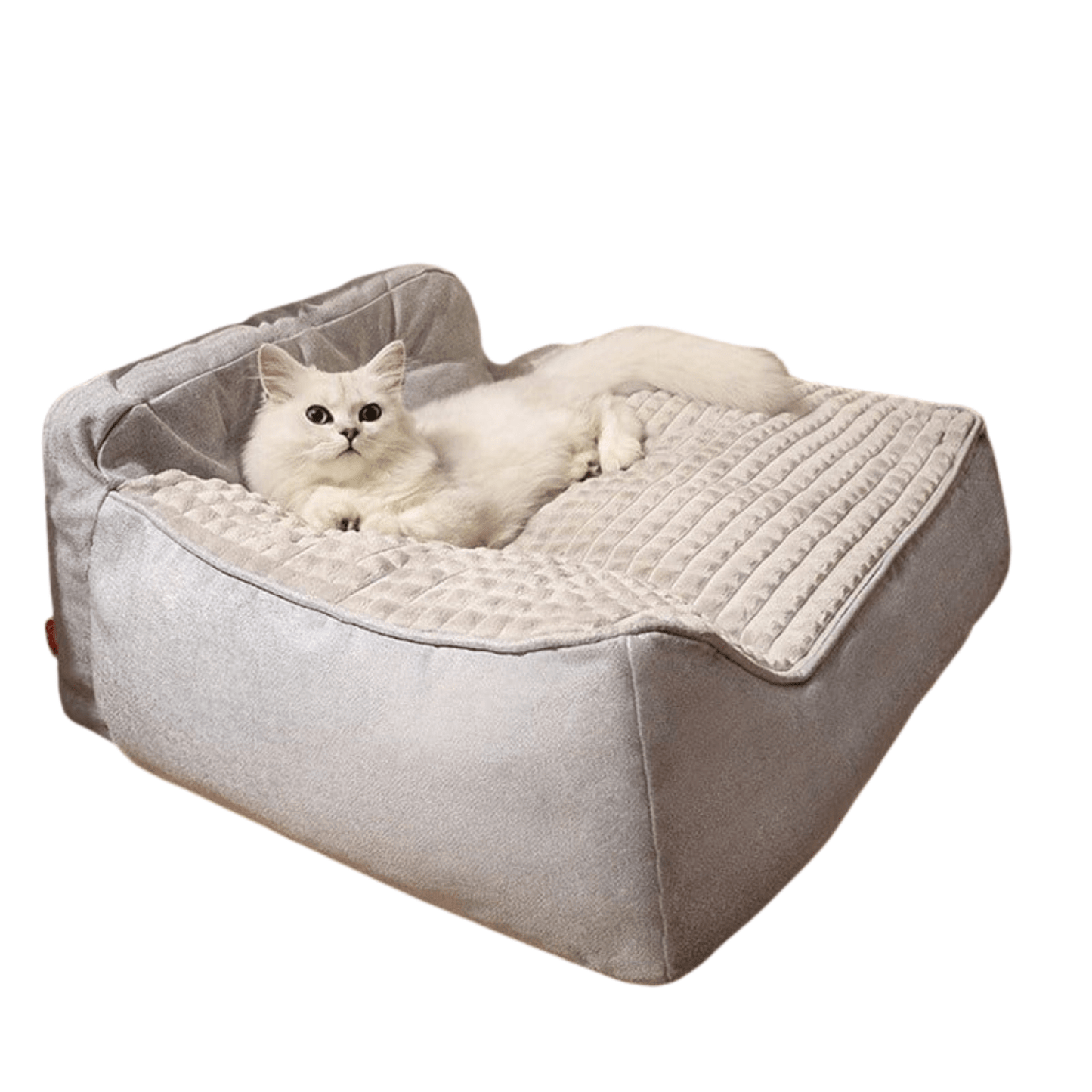 Lit orthopédique XL pour chien – Sofa luxe, housse lavable & confort ultime One PETS-TOP