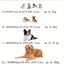 Lit ovale pour chien & chat – Coussin orthopédique toutes saisons - One PETS - TOP