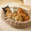 Lit pour chien XXL – 183x122 cm, ultra-confort & housse lavable 180 cm One PETS-TOP