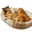 Lit pour chien XXL – 183x122 cm, ultra-confort & housse lavable 180 cm One PETS-TOP