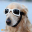 Lunettes De Soleil Pour Chien - One PETS - TOP
