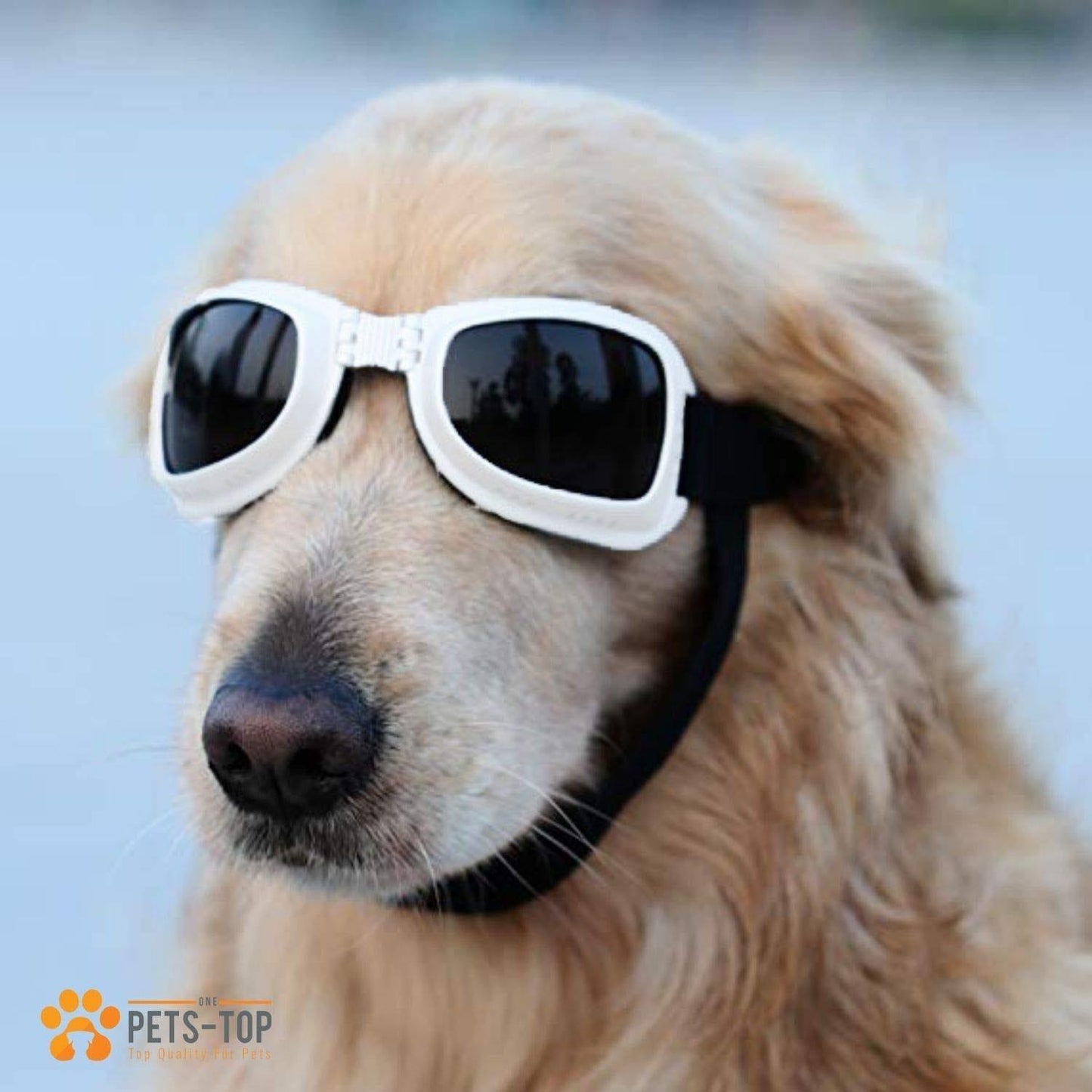 Lunettes De Soleil Pour Chien - One PETS - TOP