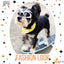 Lunettes De Soleil Pour Chien - One PETS - TOP
