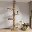 Maison d’arbre réglable chat – Tour du sol au plafond avec hamac - One PETS - TOP