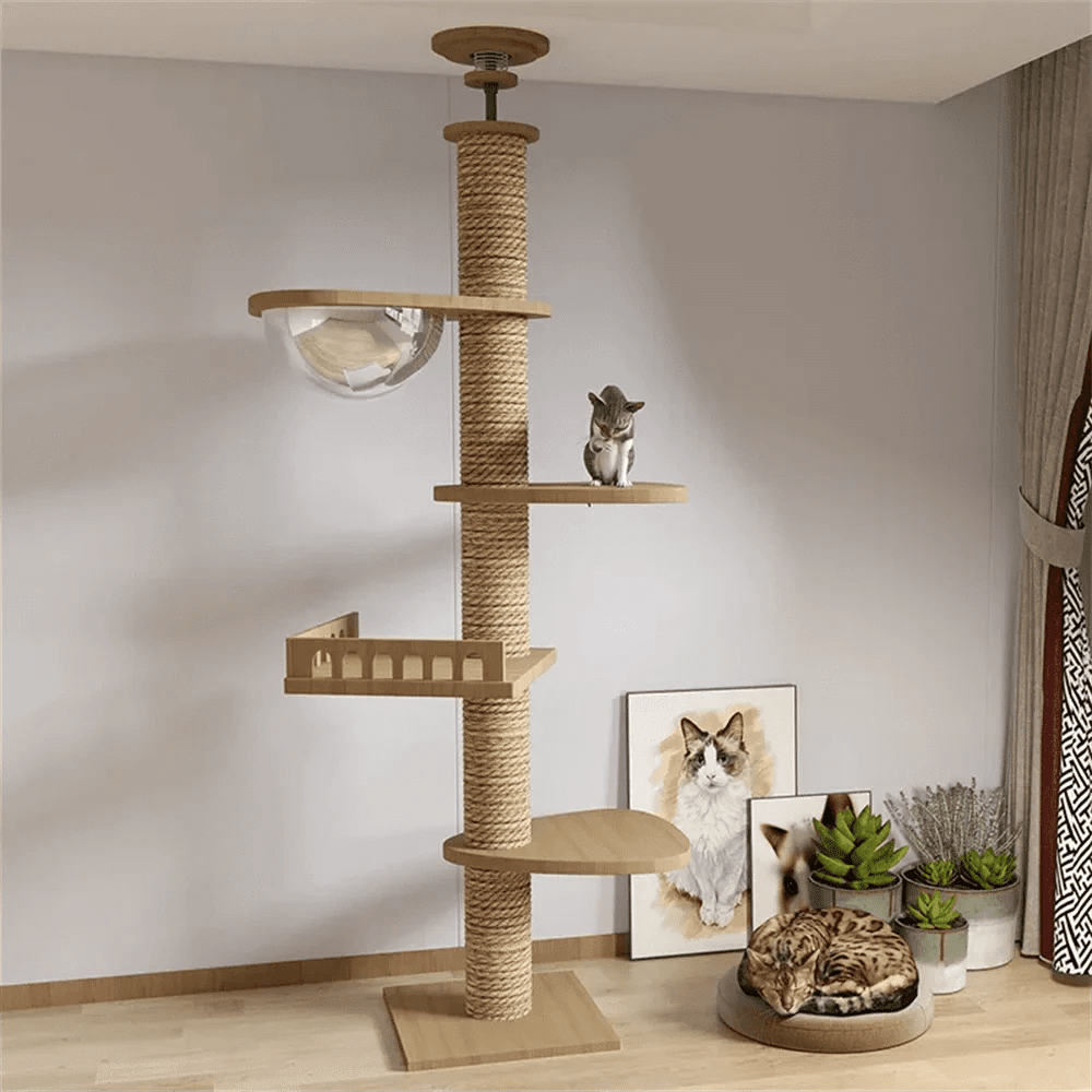 Maison d’arbre réglable chat – Tour du sol au plafond avec hamac - One PETS - TOP