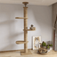 Maison d’arbre réglable chat – Tour du sol au plafond avec hamac - One PETS - TOP