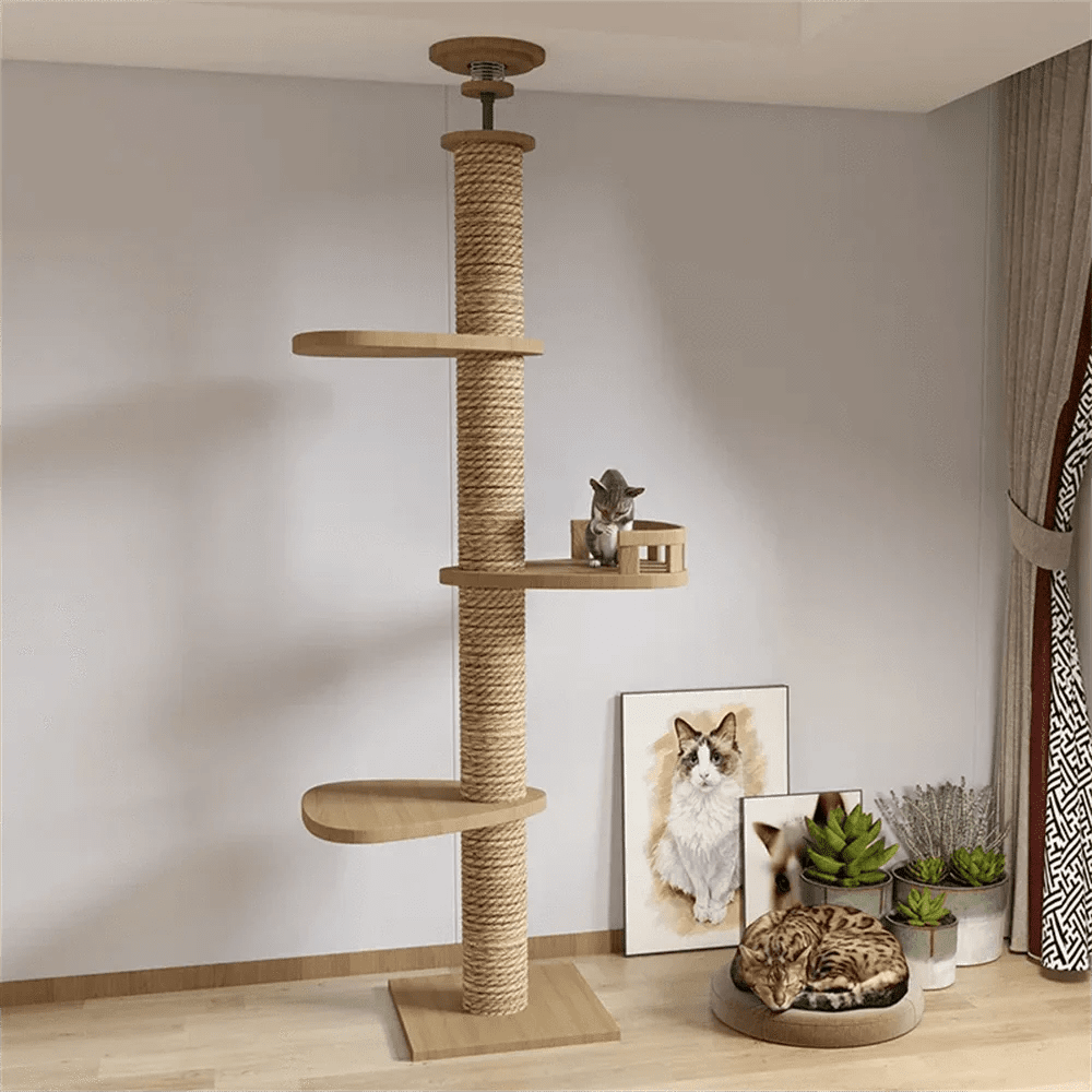 Maison d’arbre réglable chat – Tour du sol au plafond avec hamac - One PETS - TOP