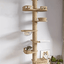 Maison d’arbre réglable chat – Tour du sol au plafond avec hamac - One PETS - TOP