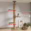 Maison d’arbre réglable chat – Tour du sol au plafond avec hamac - One PETS - TOP