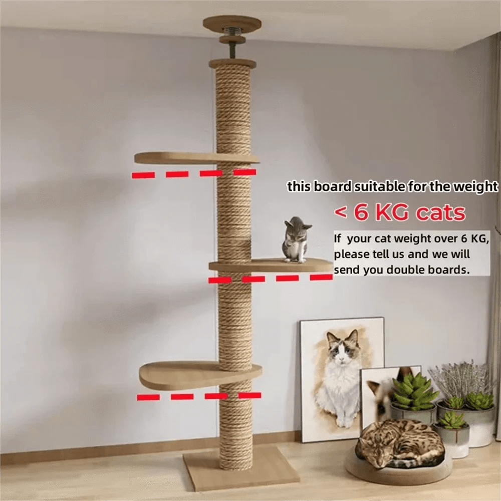 Maison d’arbre réglable chat – Tour du sol au plafond avec hamac - One PETS - TOP