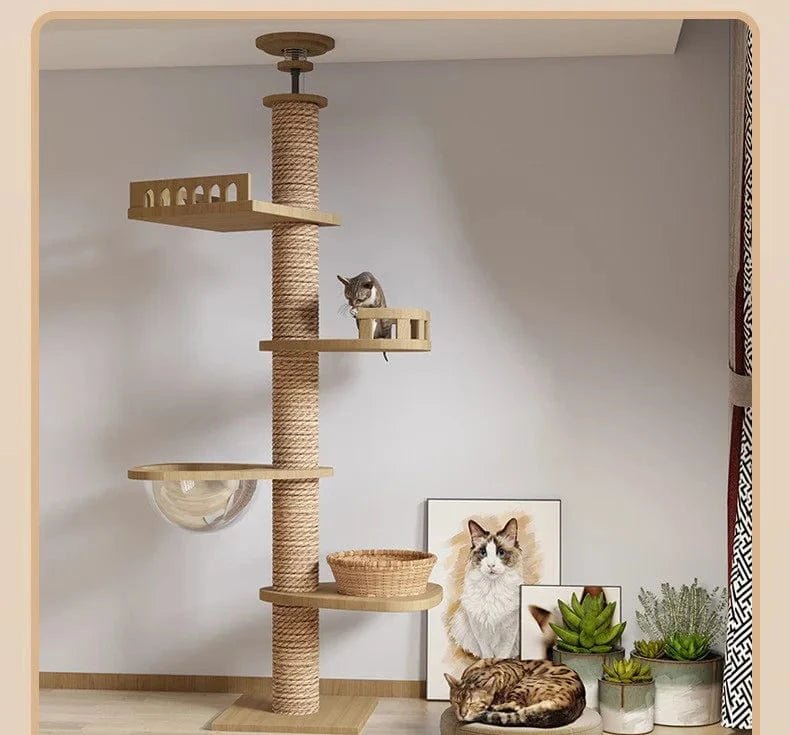 Maison d’arbre réglable chat – Tour du sol au plafond avec hamac - One PETS - TOP