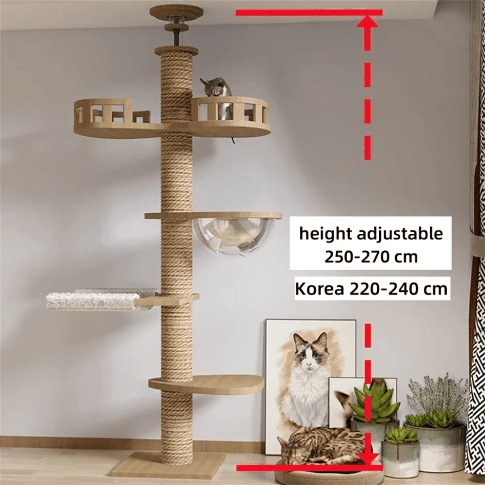 Maison d’arbre réglable chat – Tour du sol au plafond avec hamac - One PETS - TOP