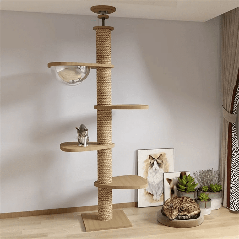 Maison d’arbre réglable chat – Tour du sol au plafond avec hamac - One PETS - TOP