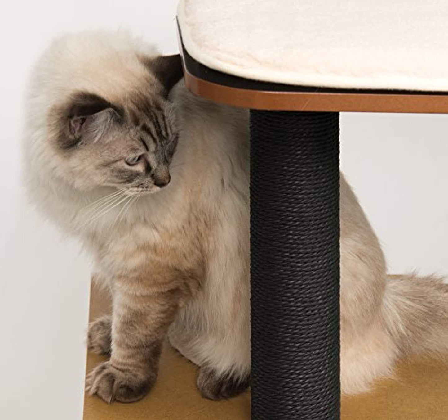 Arbre À Chat Haut, Noir - One PETS-TOP