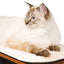 Arbre À Chat Haut, Noir - One PETS-TOP