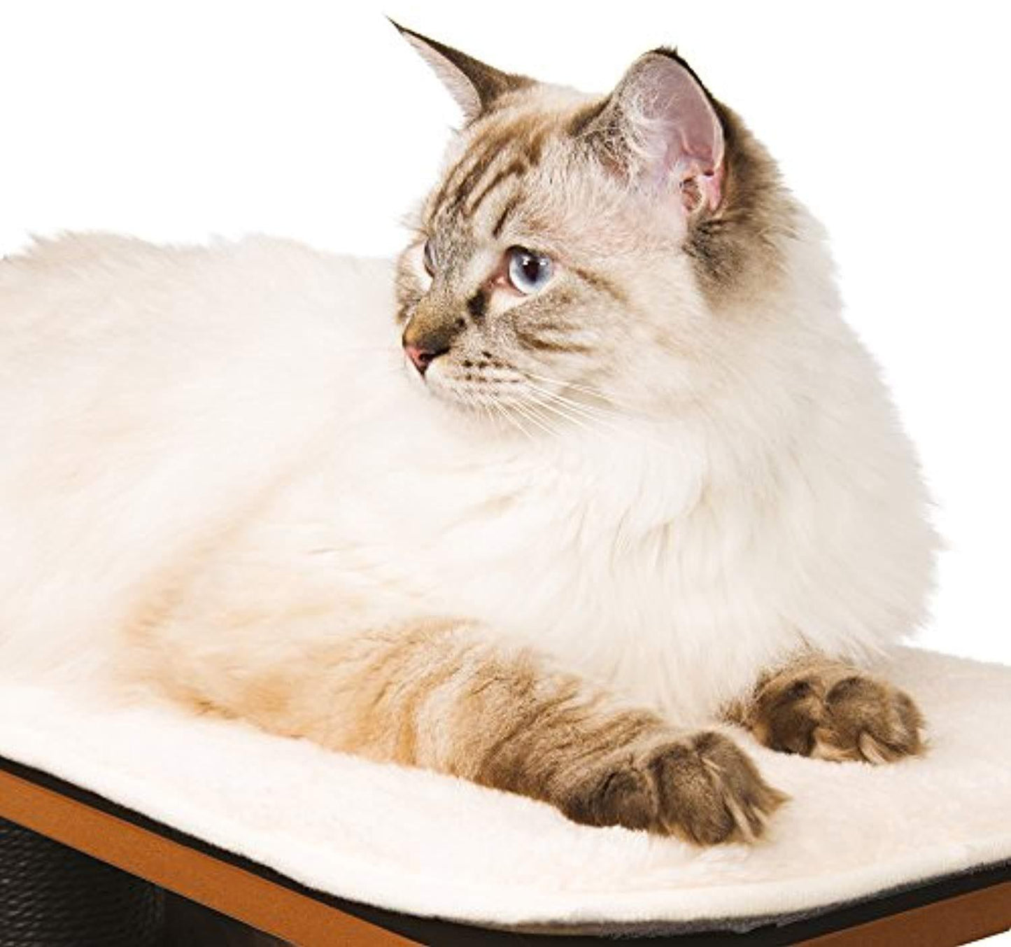 Arbre À Chat Haut, Noir - One PETS-TOP