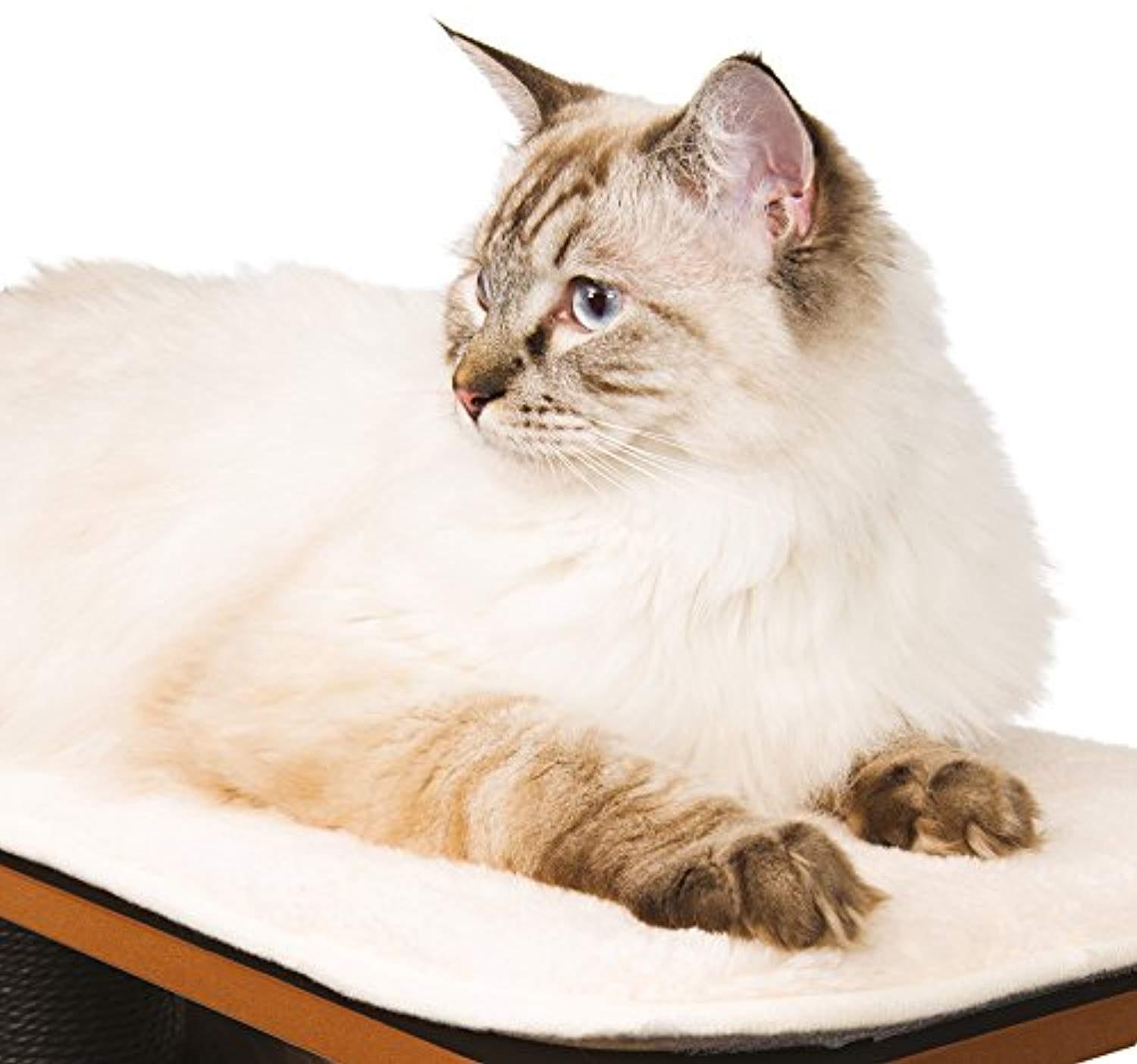 Arbre À Chat Haut, Noir - One PETS-TOP