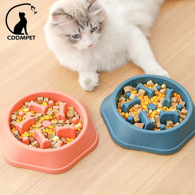 Bol Slow Food Pour Chiens Et Chats 🐾 - One PETS-TOP