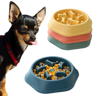 Bol Slow Food Pour Chiens Et Chats 🐾 - One PETS-TOP