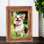 Coffret Céleste: Urne Animale En Bois Élégant - One PETS-TOP
