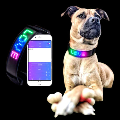 Collier Led Chien Idled™ Rechargeable Lumineux Message Personnalise Ajustable Clignotant - One PETS-TOP