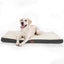 One Pets - Top Coussin Chien Grande Taille Dehoussable - Tapis Chien Orthopédique 112X81X7.6Cm - Lit Pour Chien En Mousse Avec Revêtement De Peluche - Matelas Pour Chien Lavable Et Antidérapant - One PETS - TOP