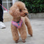 Ensemble Harnais Et Laisse Pour Chat Et Petit Chien Harnais De Promenade Harnais En Maille Souple Harnais Réglable Pour Chat Harnais Avec Sangle Réfléchissante Ajustement Confortable Pour Ani - One PETS-TOP