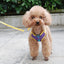 Ensemble Harnais Et Laisse Pour Chat Et Petit Chien Harnais De Promenade Harnais En Maille Souple Harnais Réglable Pour Chat Harnais Avec Sangle Réfléchissante Ajustement Confortable Pour Ani - One PETS-TOP
