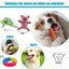 Ensemble Lot De 10 De Jouets Pour Chien, Durables Mâcher Corde Jouet Solitude Petits Et Moyens Chiens Santé - One PETS-TOP