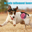 Ensemble Lot De 10 De Jouets Pour Chien, Durables Mâcher Corde Jouet Solitude Petits Et Moyens Chiens Santé - One PETS-TOP