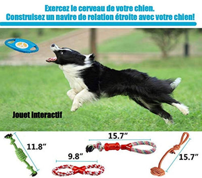 Ensemble Lot De 10 De Jouets Pour Chien, Durables Mâcher Corde Jouet Solitude Petits Et Moyens Chiens Santé - One PETS-TOP