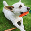 Jouet Chiot Chien- 7 Pcs Jouets Durables Pour Chiens Pour Chiots/Petits Chiens. Jouet À Mâcher Corde De Dentition Pour Chiot Et Jouet De Chien En Peluche Avec Sac À Linge - Coton Naturel - One PETS-TOP