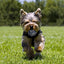 Jouet Chiot Chien- 7 Pcs Jouets Durables Pour Chiens Pour Chiots/Petits Chiens. Jouet À Mâcher Corde De Dentition Pour Chiot Et Jouet De Chien En Peluche Avec Sac À Linge - Coton Naturel - One PETS-TOP