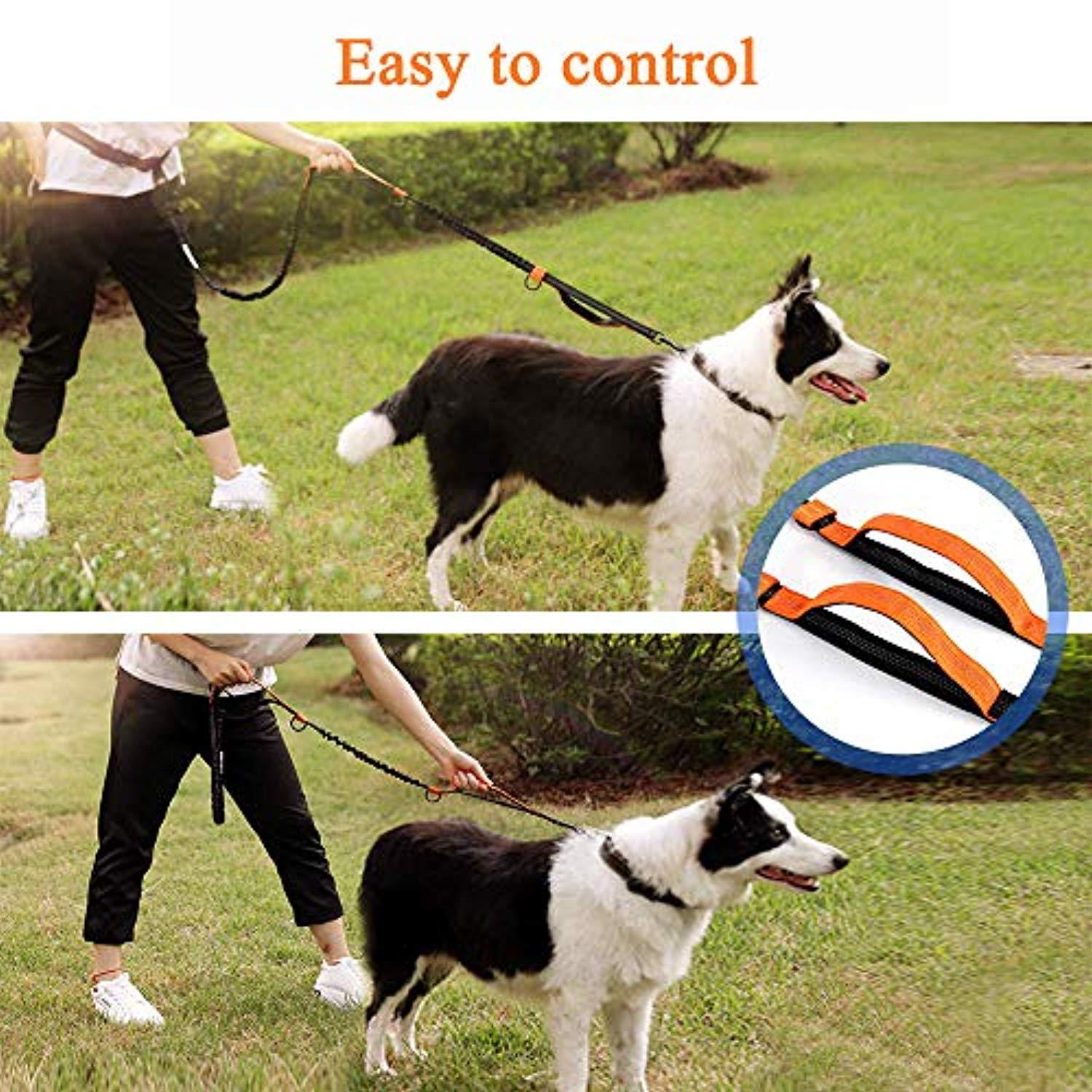 Laisse Pour Chiens Mains Libres Rétractables Avec Deux Elastiques, Laisse Ajustable, Laisse Avec Matériau Réfléchissant Pour Le Jogging, La Randonnée, Le Vélo - One PETS-TOP