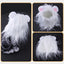 Lion King Cat Costume 🦁🐱 - One PETS-TOP