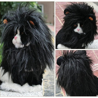 Lion King Cat Costume 🦁🐱 - One PETS-TOP
