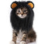 Lion King Cat Costume 🦁🐱 - One PETS-TOP