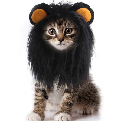 Lion King Cat Costume 🦁🐱 - One PETS-TOP