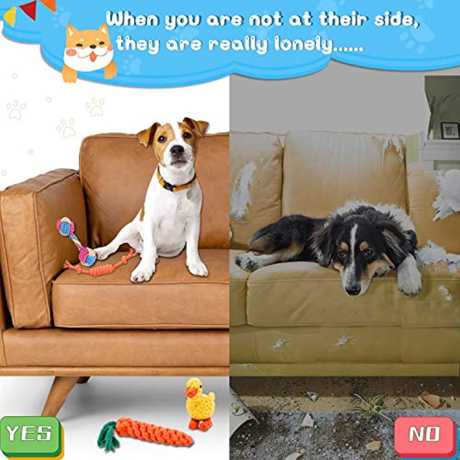 Lot De 10 Jouets Chien Chiot, Durables Jouet Corde Chien, Jouet À Mâcher Corde De Dentition Pour Petit Et Moyen Chien, Jouet Interactif Chien Avec Cordon De Tirage Frisbee Balle Duck Carotte - One PETS-TOP