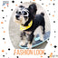 Lunettes De Soleil Pour Chien - One PETS-TOP
