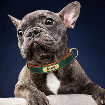 🐾 Collier en Cuir Personnalisé pour Chien – Avec Plaque Gravée Nom & Téléphone - One PETS-TOP