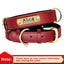🐾 Collier en Cuir Personnalisé pour Chien – Avec Plaque Gravée Nom & Téléphone - One PETS-TOP