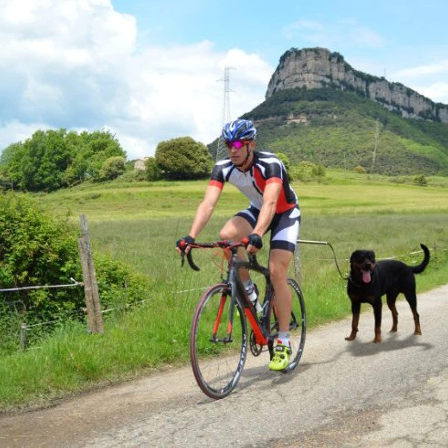 Poppy Pet Dog Bicycle Leash, Hands Free Bike Exerciser Lead Pour Chiens, Stabilité Contrôlée Cyclisme, Course Et Exercice De Marche Pour Vous Et Votre Chien, Noir, Pratique Et Utile - One PETS-TOP
