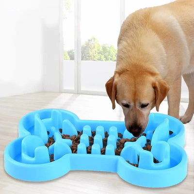 Slowpaws - Bol Pour Animaux À Alimentation Lente Et Saine 🐾 - One PETS-TOP